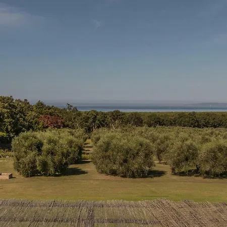Holiday home Podere San Niccola