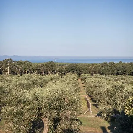 Podere San Niccola Holiday home *